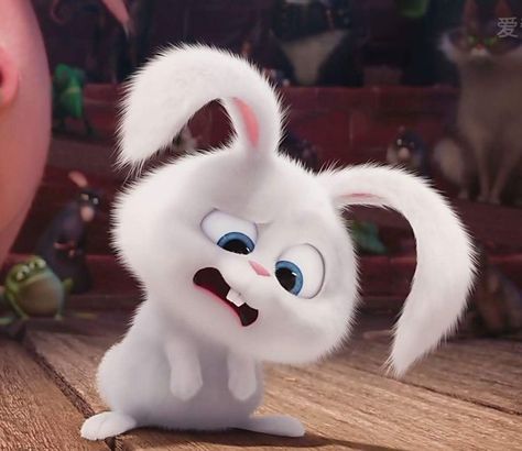 Snowball Rabbit, Rabbit Wallpaper, Cute Bunny Cartoon, Bunny Wallpaper, Secret Life Of Pets, Bunny Pictures, Cute Cartoon Images, Cute Cats Photos, Cute Cartoon Pictures