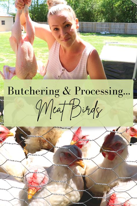 Here's how we butcher & process meat birds on our homestead! There is nothing better than preparing a meal for your family table with homegrown meat that you've raised & processed right! These are birds raised with TLC! Happy, healthy birds! Come hang out with us today while we process our 30 meat birds & check out this awesome new feather plucker! #butcheringmeatbirds #howtobutchermeatchickens #chickenplucker Meat Birds Raising, Raising Meat Birds, Meat Bird Coop, Butcher Chicken, Butchering Chickens, Beef Cuts Chart, Chicken Processing, Raising Meat Chickens, Chicken Plucker