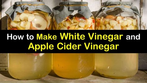 Make Apple Cider, Diy Vinegar, How To Make Vinegar, Making Apple Cider, Make Apple Cider Vinegar, Apple Cider Vinegar Recipes, Braggs Apple Cider, Best Apple Cider Vinegar, Braggs Apple Cider Vinegar