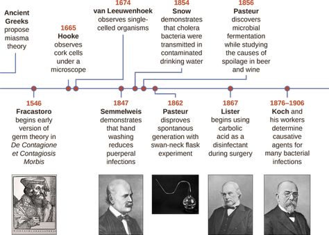 Cell Theory Scientists, Rudolf Virchow, Robert Hooke, Cell Theory, Not Well, Cell Division, Cell Biology, Plant Cell, The Cell