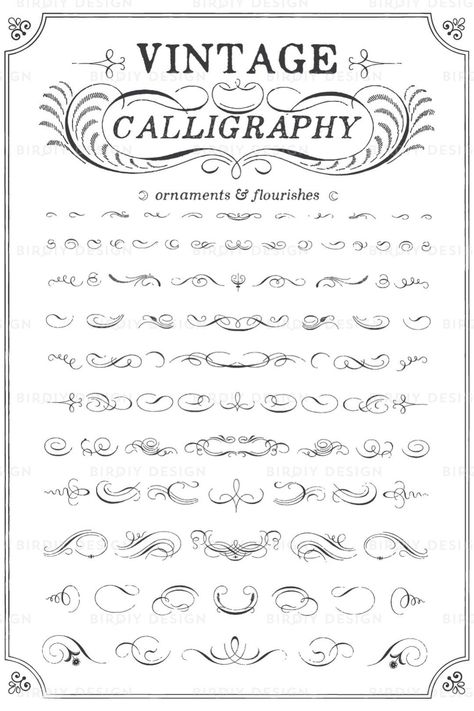 Filagree Drawings, Lettering Layout, Camp Projects, Vintage Calligraphy, Flourish Calligraphy, Boho Clipart, Calligraphy Fonts Alphabet, Whiskey Bottles, Chalk Design