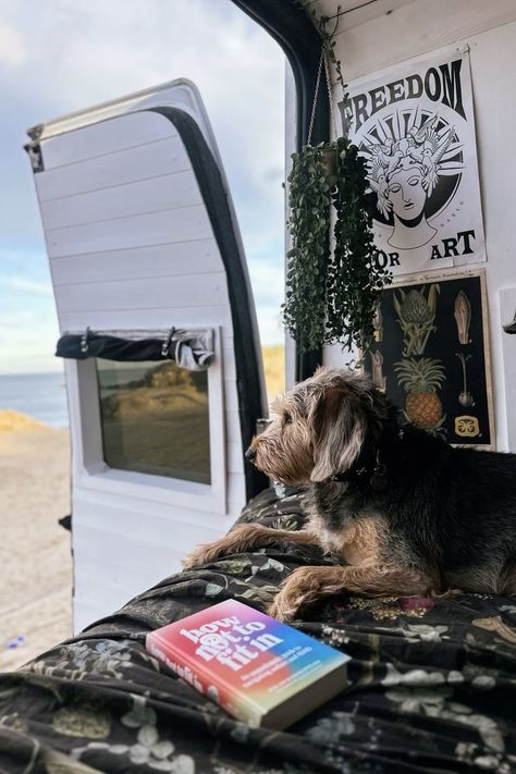 Solo Van Life Travel with My Dog this Summer 

#VanLife #VanLifeInspo #SummerTravel #SoloTravel #VanConversion #TransitConversion Van Travel, Teary Eyes, Travel Van, Camper Van Conversion, Our Baby, Summer Travel, Solo Travel, Van Life, Adventure Travel