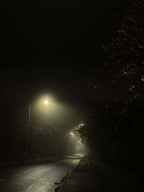 #darkasthetic #streetlight #misty Misty Night, Night Scenery, Street Lights, Street Light, Forest, Collage, Halloween, Pins, Quick Saves