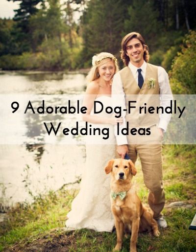 Get ready to roll over for these awesome dog wedding ideas and too-cute-for-words photos! From engagement photos with your pup, doggy ring bearers, and fido-focused vows, there are some many ways... Massachusetts Wedding, When I Get Married, Wedding Pins, Yellow Wedding, Dog Wedding, Wedding Pics, Wedding Pinterest, Backyard Wedding, Wedding Attire