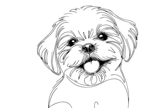 Shih Tzu - Google Drive How To Draw A Shih Tzu, Shih Tzu Drawing, Shih Tzu Tattoo, Watercolour Dogs, Card Making Ideas Easy, Costume Viking, Puppy Sketch, Dog Sketch, Minimalist Drawing