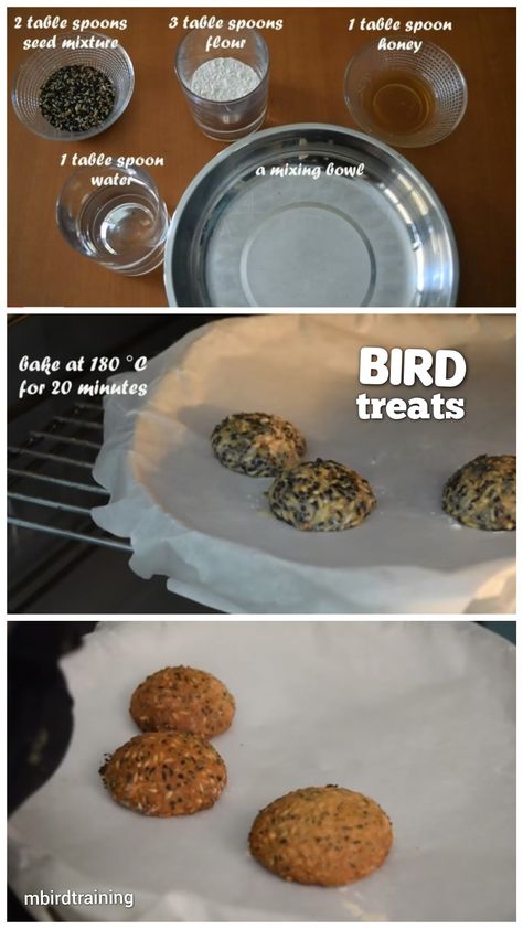 Bird Treats Diy, Homemade Bird Toys Parrots, How To Take Care Of Parakeets, Diy Parakeet Toys, Diy Bird Toys Parakeets, Parakeet Cage Ideas, Diy Budgie Toys, Homemade Bird Seed, Bird Toys Diy