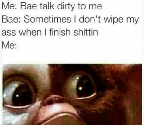 Oh Hell No Bae Meme, Me And Bae, Funny As Hell, Relationship Memes, Funny Pics, Animal Memes, Bones Funny, Funny Cute, Funny Images