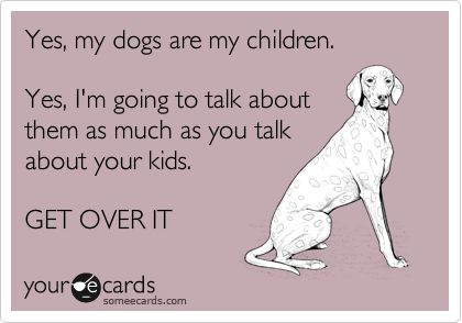 Funny Baby Ecard: Yes, my dogs are my children. Yes, I'm going to talk about them as much as you talk about your kids. GET OVER IT. Dog Lady, Springer Spaniel, Crazy Dog, Golden Retrievers, E Card, Dog Quotes, Baby Dogs, Border Collie, I Love Dogs