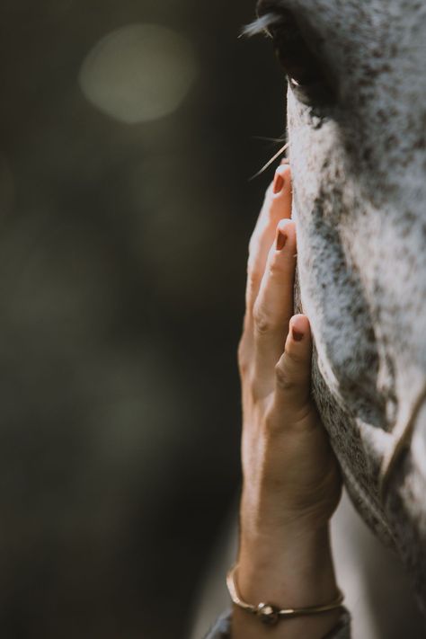 Check out the results of Chloe's photo shoot with her horse. We aimed for a dreamy look together with some creative shots. Learn more about how a photo shoot can go and how I set up the event. equine art | equine photography poses photo shoots | horse images | horse photography aesthetic Horse Picture Ideas Photo Shoots, Horse Lifestyle Photography, Poses With Horses Photography, Horse Details Photography, Horse Photography Poses Photo Shoots, Equine Portrait Photography, Equine Photography Poses Photo Shoots, Mini Horse Photo Shoot, Senior Session With Horse