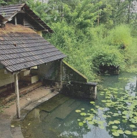 Desi Cottagecore, Indian Scenery, Indian Nature, Kerala Photography, Pools Ideas, Kerala Traditional House, Kerala Architecture, Landscaping Layout, Kerala Travel