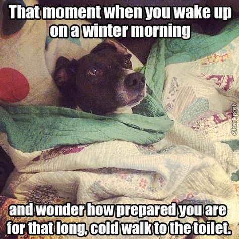 40 Hilarious Winter and Snow Memes for When You're Freezing Your Face Off   #funnypics #funnypictures #wintermemes #snowmemes #lol Cold Weather Funny, Winter Humor, Weather Memes, Misery Loves Company, Monday Memes, Christmas Memes, Humor Mexicano, Good Day Song, Sum Up