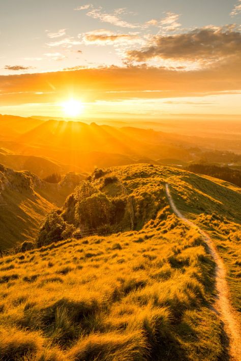 . Grassy Hill, Gorgeous Pics, Beautiful Word, Golden Moments, Scenic Photography, Best Sunset, Adventure Photography, Hot Shots, Landscape Pictures