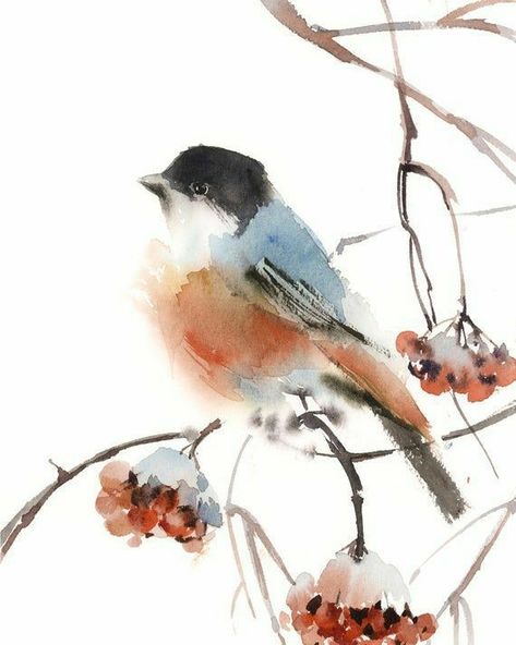 Bullfinch Bird, Bird Watercolor Art, Bird Watercolor Paintings, Bird Watercolor, Woodland Art, Bullfinch, Japon Illustration, Bird Painting, Bird Artwork