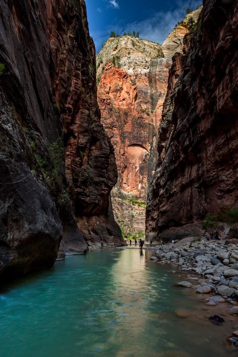 The American Southwest group | The Narrows of the Virgin River. Southwest Aesthetic, Reflections Photography, The Narrows, Virgin River, Reflection Photography, Star Trails, American Southwest, Us Travel, Sunrise Sunset