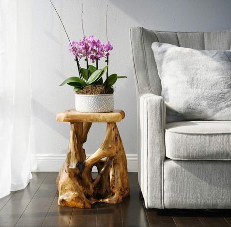 just ordered my natural wood table from welland 🌲 i am so excited to see what mine looks like, as each piece is hand crafted & uniquely different Stump End Table, Stump Side Table, Natural Edge Wood, Tree Stump Side Table, Concrete Stool, Tree Stump Table, Stump Table, Driftwood Table, Table 19