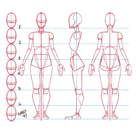 Body Proportion Drawing, Drawing Body Proportions, Drawing Proportions, رسم كاريكاتير, Character Turnaround, Human Body Drawing, Character Reference Sheet, Character Sheet Template, Character Template