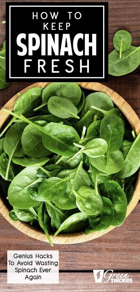 Today I’m showing you 5 genius ways to store spinach so it doesn’t end up slimy before you’ve had a chance to even use it. Click the link to read more... #greenthickies #spinach #kitchenhacks #kitchentips How To Store Spinach, Spinach Recipes Healthy, Frugal Kitchen, Green Thickies, Primal Living, Smoothie Guide, Food Wastage, Vegan Facts, Best Green Smoothie