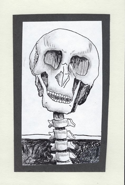 Skeleton Spine, Spine Drawing, Bone Drawing, Neck Drawing, Drawing Skull, Skeleton Drawings, Neck Bones, Head Drawing, Skull Bones