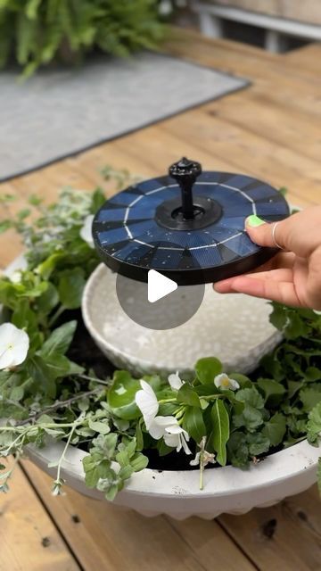 Lucy Akins | Craftberry Bush | I ordered this solar fountain pump and made this pretty planter.  I’m obsessed with how it looks and I specially love the sound of the ... | Instagram Planter Water Fountain, Solar Fountain Planter, Solar Fountains Outdoor Diy, Solar Fountain Ideas, Water Fountains Outdoor Diy, Tea In The Morning, Ginger Bread House Diy, Cool Gingerbread Houses, Concrete Fountains