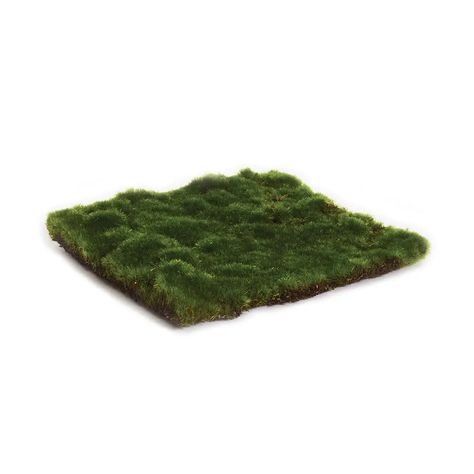 Wholesale Moss Sheet Square 8" for your store - Faire Bamboo Photo Frame, Faux Moss, My Plant, Babe Cave, Wedding Shower Decorations, Plant Shop, Preserved Moss, Faux Bamboo, Faux Plants