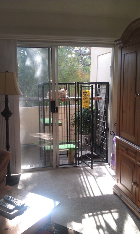 The Catio right outside a sliding glass door. Love it. Cat Patio Balcony, Apartment Balcony Catios, Balcony Catios, Townhouse Patio, Exterior Apartment, Outdoor Cat Run, Outdoor Pet Enclosure, Cat Enclosures, Cat Patio