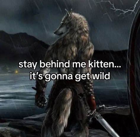 Alpha And Kitten, Cursed Things To Send To Your Friends, Im Gonna Touch You Bro, Im Gonna Touch You, Sigma Pictures, Alpha Quote, Alpha Werewolf, Alpha Wolf, Alpha Sigma