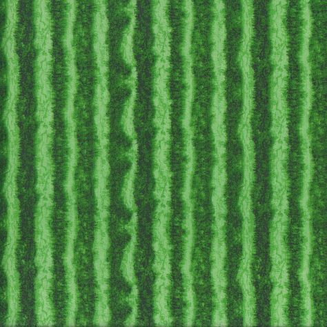 Watermelon Rind Green Skin Fruit Quilting Fabric - Find a Fabric Cut Fat, Watermelon Rind, Watermelon Pattern, Quilt Kits, Summer Picnic, Green Wallpaper, Gorgeous Fabrics, Timeless Treasures, Quilt Top