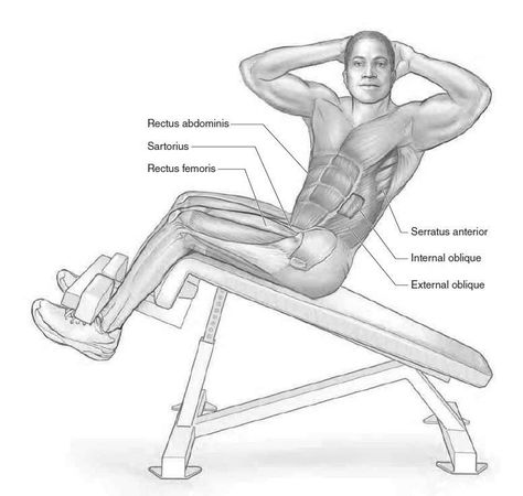 Decline Bench Twisting Sit-Up Bench Workouts, Bench Workout, Upper Abs, Fit Abs, Core Exercise, Diy Gym, Abdominal Exercises, Lower Abs, Sit Up