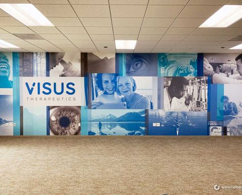 Corporate Murals Office Designs, Corporate Wall Mural, Conference Room Wall Design, Corporate Mural, Environmental Graphic Design Wall, Productivity Wall, Photo Mural Wall, Glass Film Design, Green Branding