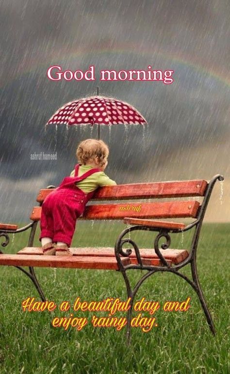 Fresh Morning Quotes, Rainy Morning Quotes, ગુડ મોર્નિંગ, Morning Rainy Day, Rainy Good Morning, Good Morning Rainy Day, Good Morning Snoopy, Blessing Words, Morning Nature