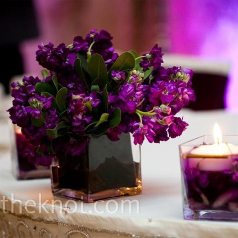 Purple passion Purple Wedding Flowers Centerpieces, Short Centerpieces, Purple Centerpieces, Purple Wedding Decorations, Vase Centerpiece, Purple Color Schemes, Purple Wedding Flowers, Square Vase, Flower Centerpieces Wedding