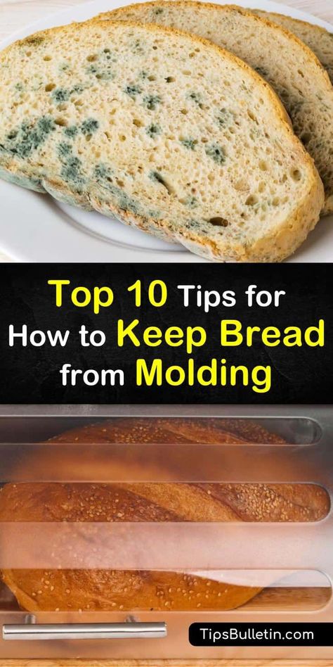 Find out the best ways to store bread to prevent it from developing mold, whether it's a whole loaf or sliced bread. At room temperature, try using a bread box or a sealed paper bag, or place your loaf of bread in the fridge or freezer. #bread #storage #mold #prevent Freezer Bread, Artesian Bread, Pullman Bread, Bread Dipping, Bread Container, Bread Slicer, How To Store Bread, Vegetable Benefits, Bread Mold