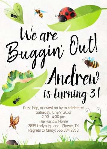 Ladybug Birthday, Boy Birthday Invitations, 2 Birthday, 1st Birthday Invitations, Third Birthday, 4th Birthday Parties, 3rd Birthday Parties, 1st Boy Birthday, 2nd Birthday Parties