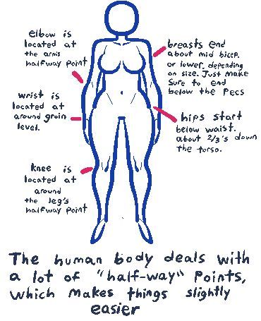 image: Comic Tutorial, Anatomy Tutorial, Art Advice, Human Anatomy Drawing, Female Reference, Human Drawing, Body Reference Drawing, Poses Reference, Guided Drawing