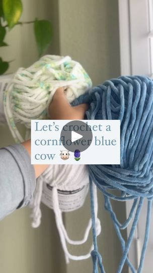 9.8K views · 3.6K reactions | Fighting for my life to crochet this cornflower cow 🐮 😂
I was indeed concussed and working SLOWLY so I couldn’t finish his floral overalls in time for content haha. Looking back at these videos at least we got something done 🥲
Do we like the cinematic video? Are we going boujee with it now?!

Yarn: sweet snuggles lite
Pattern: my own! Linked in bio 🔗

#crochet #crochetpattern #crochetlove #amigurumi #amigurumilove #crochetersofinstagram #handmadewithlove #smallbusiness | Ali 🪴 Floral Overalls, Cinematic Video, Blue Cow, Finish Him, Cornflower Blue, Looking Back, In Time, My Life, Cow