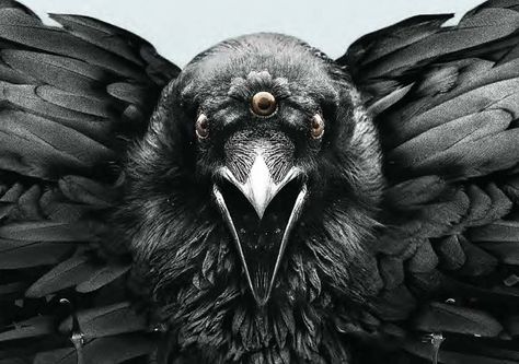 The Poster For 'Game of Thrones' Season Four Declares 'All Men Must Die' 3 Eyed Raven, Rabe Tattoo, Game Of Thrones Tattoo, Ancient Babylon, Raven Pendant, Crow Tattoo, Cool Chest Tattoos, Norse Tattoo, Raven Tattoo