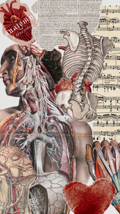 #miprimershuffle #myfirstshuffle Vintage Medical Art, Medical Photography, Best Naruto Wallpapers, Medical Wallpaper, New Wallpaper Iphone, Biology Art, Notebook Cover Design, Medical School Inspiration, Human Anatomy Art