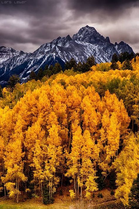 State Of Colorado, Aspen Trees, Have Inspiration, Mountain Peak, Autumn Scenes, Autumn Scenery, Most Beautiful Cities, Beautiful Places In The World, Mellow Yellow