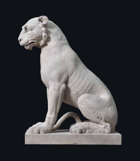 Dunsborough Park, Asian Statues, Zbrush Models, Animal Action, Akita Dog, George Iii, Lion Art, Like A Cat, A Tiger