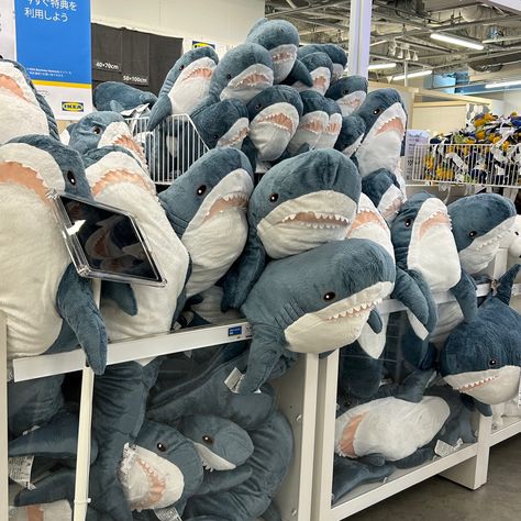 Blahaj Shark Plush, Blåhaj Trans, Ikea Core, Ikea Plushies, Ikea Aesthetic, Ikea Shark, Shark Decor, Shark Pictures, Shark Plush