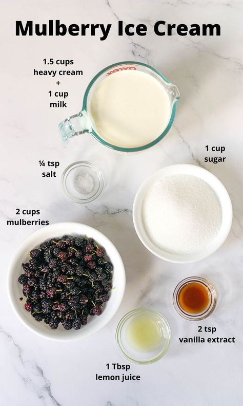 Mulberry Ice Cream Recipe, Mulberry Ice Cream, What To Do With Mulberries, Mulberry Syrup Recipe, Mulberry Recipes Desserts, White Mulberry Recipes, Mulberry Desserts, Mullbery Recipe, Mulberry Benefits