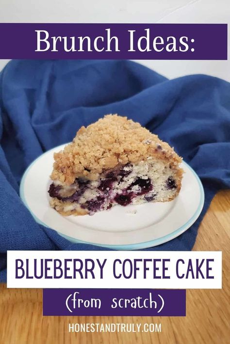 This blueberry streusel coffee cake makes for an amazing breakfast, but it's also a lovely not too sweet dessert or a perfect mid afternoon snack. It holds up well for a couple days, and yes, you can use frozen or fresh blueberries. Blueberry Crumb Cake Recipe, Blueberry Crumb Cake, Streusel Coffee Cake, Blueberry Cake Recipes, Blueberry Coffee Cake, Blueberry Coffee, Sour Cream Coffee Cake, Holiday Morning, Coffee Cake Recipes