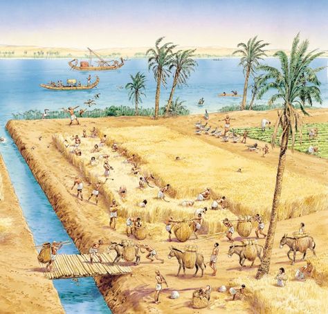 People of ancient Egypt - Q-files Encyclopedia Ancient Egypt Farming, Starověký Egypt, Ancient Egyptian Jewelry, Science History, Ancient Egypt Art, Ancient Mesopotamia, Egypt History, Egyptian Culture, Egypt Art