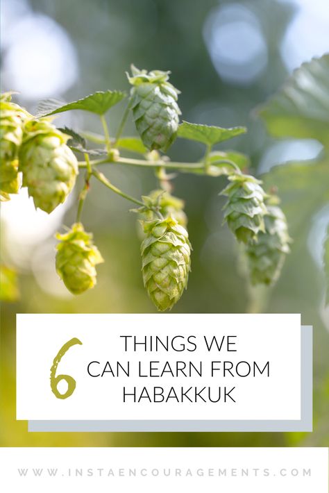 Book Of Habakkuk, Habbakuk Bible Study, Habakkuk Bible Study, Habakkuk Bible Journaling, Scripture Tea, Bible Meaning, God Wisdom, Bible Thoughts, Rejoice In The Lord