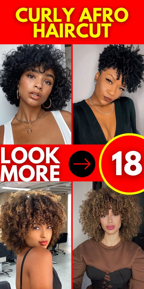 Discover the latest women's hairstyle trend with the Curly Afro Haircut. Whether you're a woman looking for a short, medium, or long style, this versatile and trendy haircut is perfect for you. Get a chic and fashionable look that's sure to turn heads. Embrace the Women 2023-2024 fashion with confidence and style. 4c Haircuts For Black Women, Layered Afro Hair Shape, Rizo Haircut, Curly Haircut Black Women, Coily Haircuts, Curly Cuts Black Women, Short Curly Cuts, Hair For Round Face Shape, Big Afro