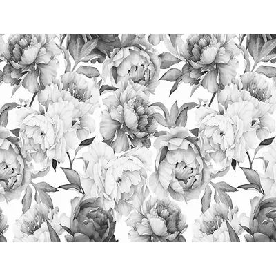 Rosdorf Park Mckenna Flower Monochrome Peony Texture Wall Mural | Wayfair Black And White Floral Wallpaper, White Floral Wallpaper, White Flower Wallpaper, Kindergarten Wallpaper, Wall Mural Decals, Nursery Watercolor, Peony Wallpaper, Jungle Wallpaper, Tropical Wallpaper