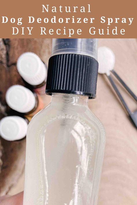 This simple dog deodorizer spray DIY recipe is going to change how you think about pet odors. It’s great to use whether you have a stinky dog, musty smells, or dog bedding that needs freshening in between washes. This spray works for all of it! Diy Pet Spray, Homemade Dog Spray Pet Odors, Diy Dog Smell Good Spray, Natural Dog Deodorizer Sprays, Diy Dog Freshening Spray, Vinegar Spray For Dogs, Dog Refresher Spray Diy, Carpet Deodorizer Diy Dogs, Diy Deodorizer Spray