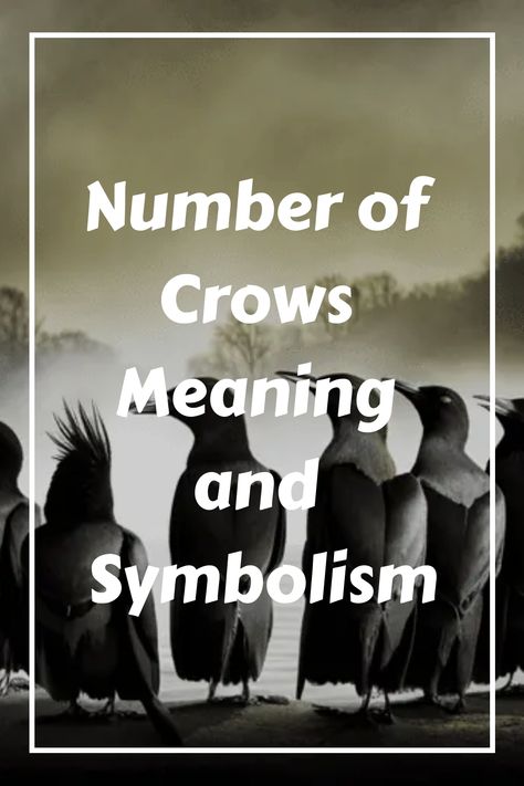 Have you ever noticed a group of crows gathered together and wondered what it meant? Or perhaps you’ve seen a lone, solitary crow perched on a nearby tree branch and pondered the mysterious symbolism associated with this bird. Like many other animals, crows have become symbolic of negative and positive elements in different cultures worldwide, making them an interesting topic to explore. In this blog post, we will try to unlock some of the secrets behind crows and their meaning in different amo Number Of Ravens Meaning, Four Crows Meaning, 10 Crows Meaning, Crows Number Meaning, 7 Crows Meaning, Crow Sightings Meaning, Crows Meaning Symbols, Two Crows Meaning, Three Crows Meaning