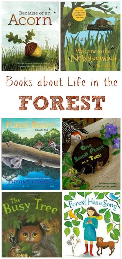 Kids Books about Life in the Forest - Edventures with Kids Books About Life, Space Books For Kids, Growth Mindset Book, Stem Books For Kids, Forest Book, Stem Books, Nature Books, Nature School, Outdoor Education