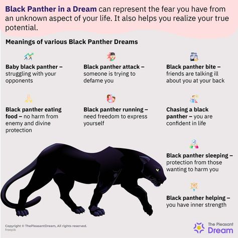 Black Panther in a Dream? – Check Out Its Facets Black Panther Spiritual Meaning, Dream Symbols Meaning Of, Black Panther Meaning, Panther Meaning, Dream Messages, Biblical Dream Interpretation, Magic Secrets, Dream Meaning, Therian Stuff